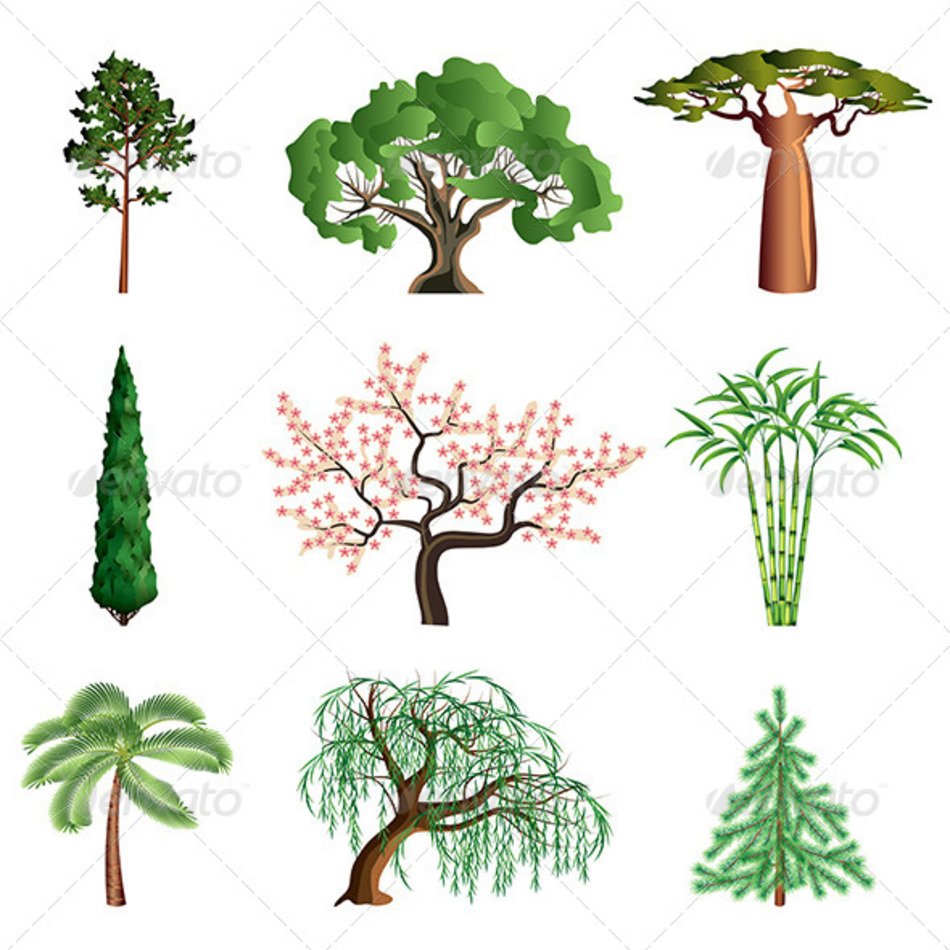 Tree Silhouette Clip Art N34