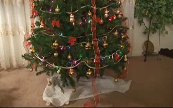 decoration of Christmas tree in room