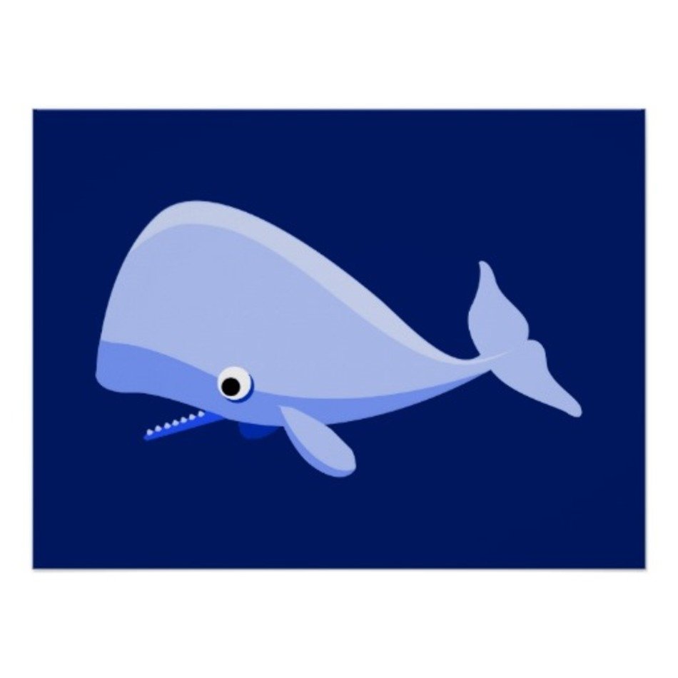 Cartoon Whale Posters amp Prints