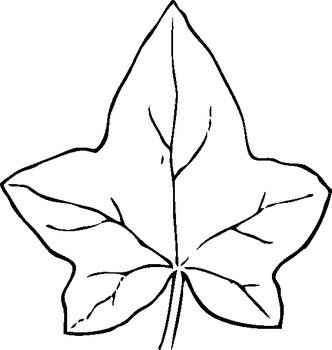 Ivy Leaf Clip Art N28