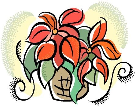 Poinsettia Clip Art N19