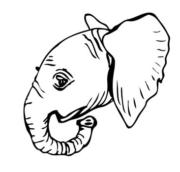 Baby Elephant Clip Art N49