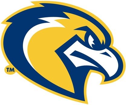Eagle Mascot Logo