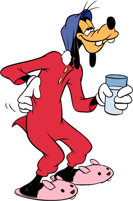Goofy N2