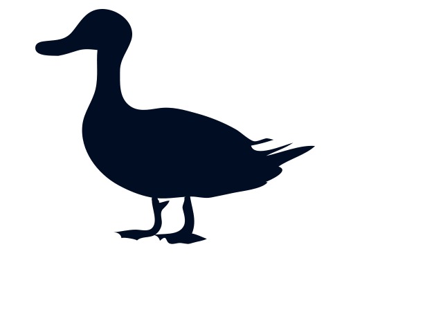 Flying Duck Clip Art N16 free image download