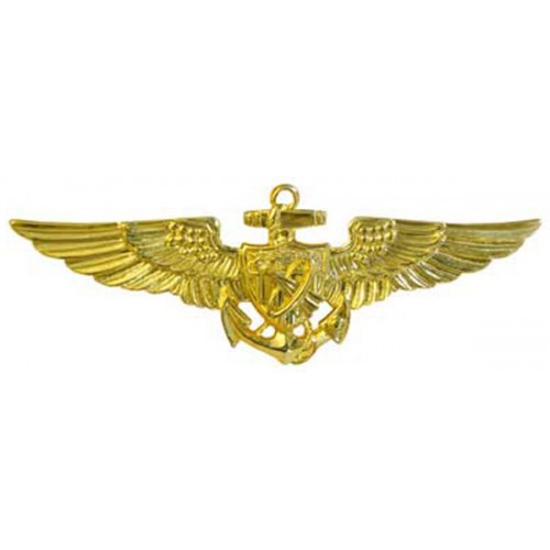 Navy Warfare Insignia free image download