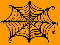 Ä°llustration of Spider Web Drawing