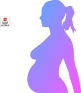 Pregnant Women Clip Art N10