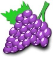 Grapes By Nicubunu