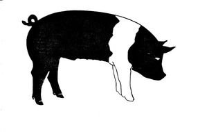 Show Pig Clip Art drawing