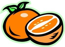 Orange Fruit Cartoon darwing