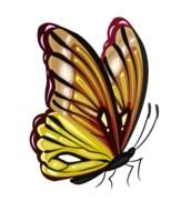 gold Butterfly Clip Art drawing