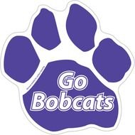 Blue Paw Prints Picture