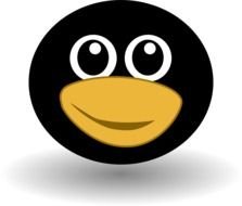 Cartoon penguin face clipart