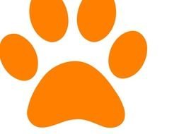 Ed Sheeran Paw Print N4