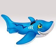 drawing of a blue shark on a light background