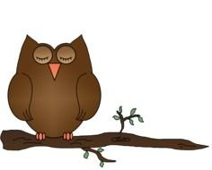 brown Owl Clip Art drawing