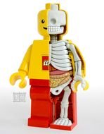 LEGO man skeleton