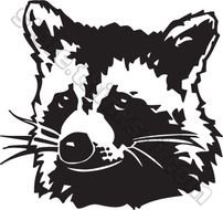Animals Raccoon 001 Illustration