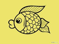 How To Draw A Easy Cartoon Fish
