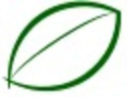 Green Leaf Icon N2