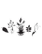 EPS S Design drawing