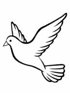 coloring page with a dove