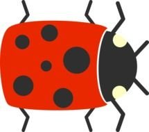 ladybug on a black background