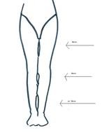 Ä°llustration of Legs