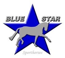 Blue Star Logos N6