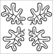 Oak Leaves Images