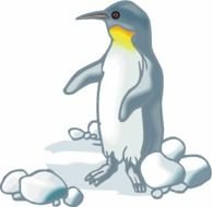 Penguin Clip Art drawing