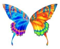 digital colorful butterfly