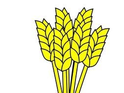 Wheat Clip Art N61