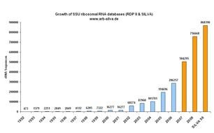 Data Growth drawing