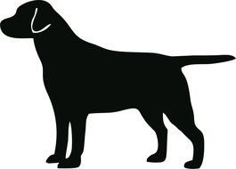 Black dog Silhouette drawing