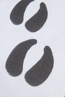 Cow Hoof Clip Art N7
