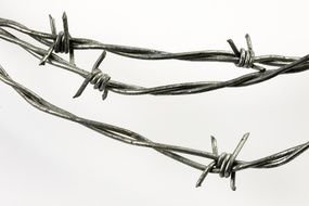 photo of gray barbed wire