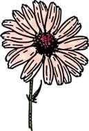 Daisy Clip Art N57