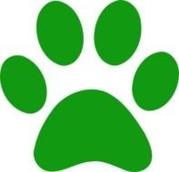 Green Paw Print Clip Art N32