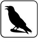 painted black crow in the square