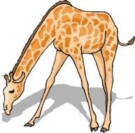 Giraffe Clip Art N114