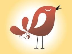 Bird Illustrations drawing