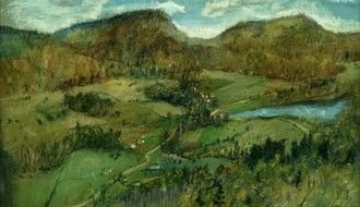 landscape of green fields in Bar Harbor