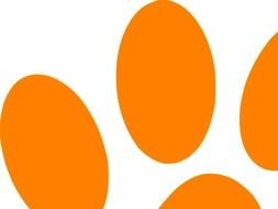Orange Cat Clip Art N25