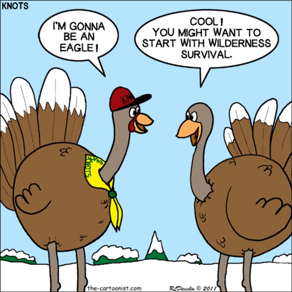 Cub Scout Cartoon