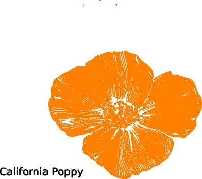 Peach Flower Clip Art N7