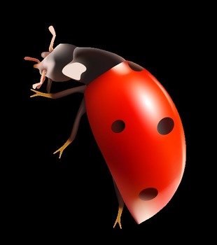 Spring Bug Clip Art N3
