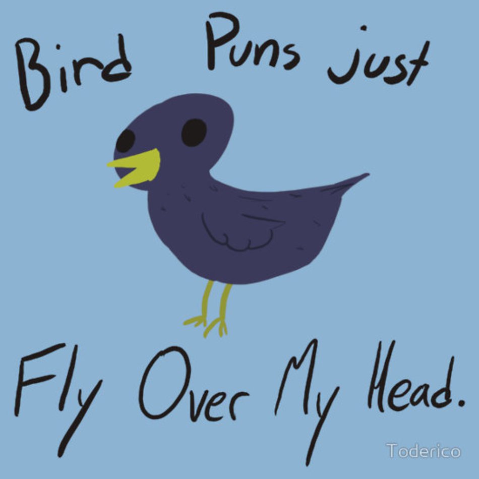 Bird Puns