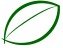 Green Leaf Icon N2